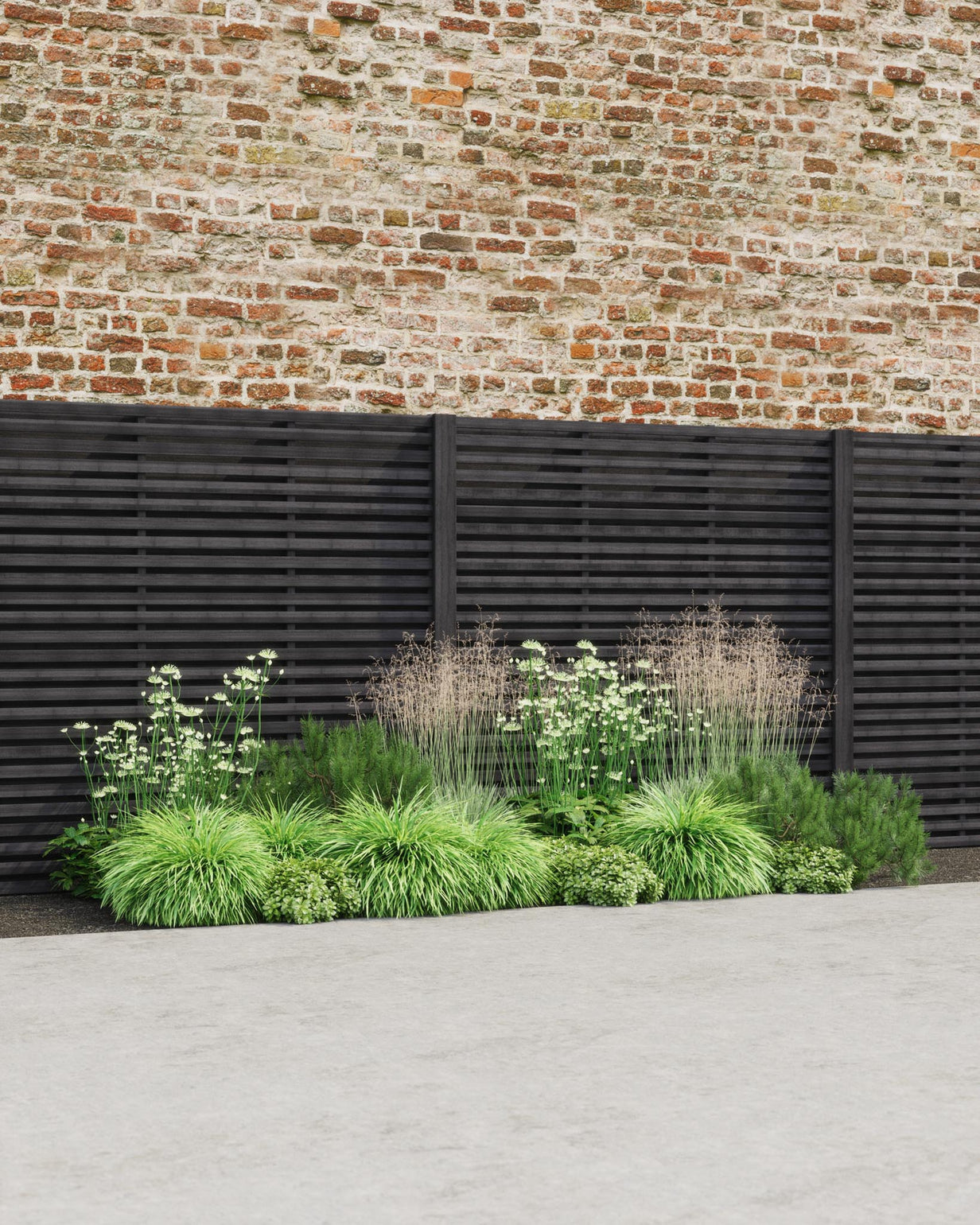 products/SOTOGreenProduct-ViewB-Sun3mWide_inc.PachysandraMar2023.jpg
